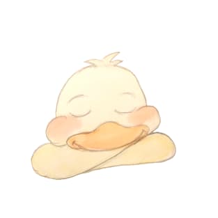 Little Sleeping Duck T-Shirt