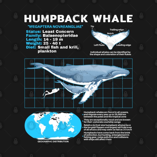 Humpback whale fact sheet by NicGrayTees