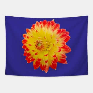 Red and Yellow dahlia Tapestry