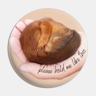 Please hold me like a cute sleeping baby squirrel Pin