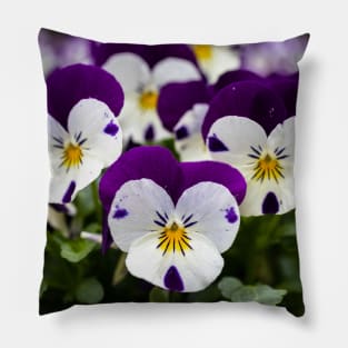 Three Pansies Pillow