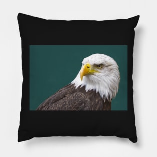 Bald Eagle Pillow