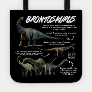 Brontosaurus Fun Facts Tote