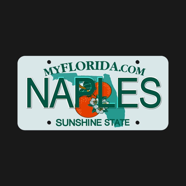 Naples Florida License Plate by Mel's Designs