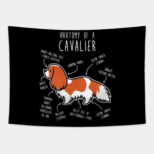 Blenheim Cavalier King Charles Spaniel Dog Anatomy Tapestry by Psitta