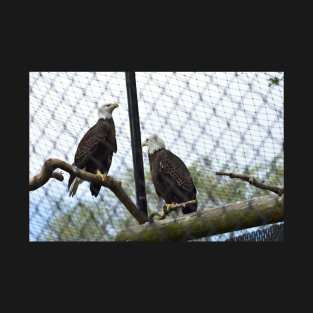 Bald Eagles T-Shirt