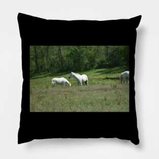 Wild Horses Pillow