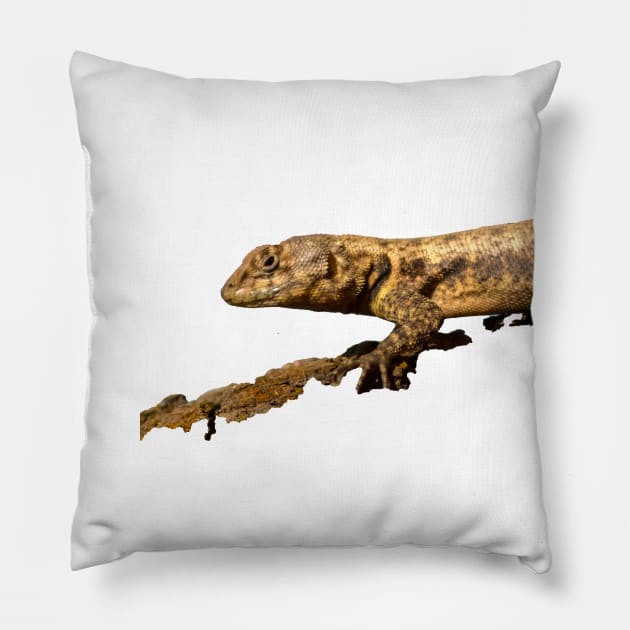 lizard Pillow by rickylabellevie