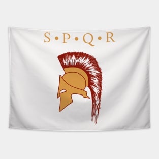 Centurion Helmet color Tapestry