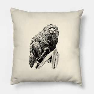 Marmoset Pillow