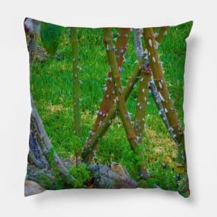 Barren bush Pillow