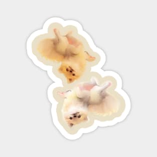 Puppy 2 Magnet