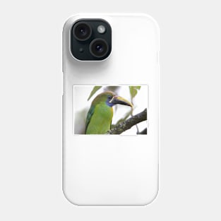 Blue-throated Toucanet Phone Case