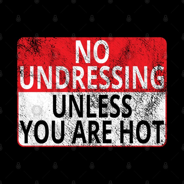 No Undressing: Unless You Are Hot (Distressed Sign) by albinochicken