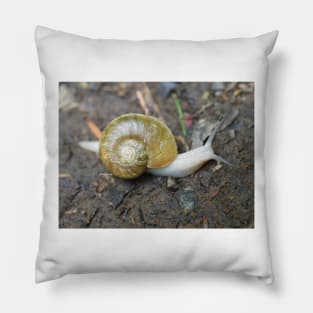 Haplotrema vancouverense snail Pillow