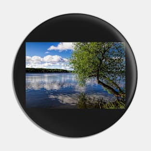 Beautiful Rice Lake Pin