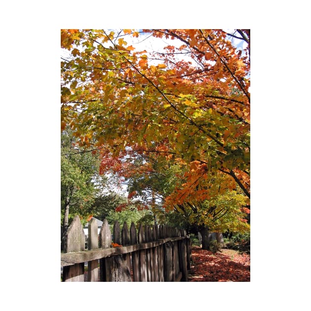 Autumn Trees and Picket Fence by SusanSavad