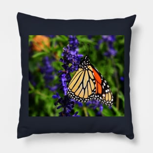 Butterfly of hope Pillow