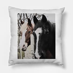 Pair of Friendly Horses Pillow