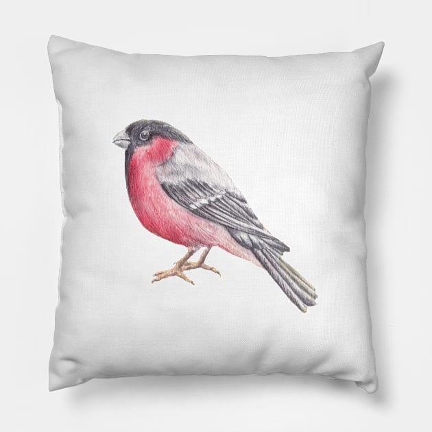 Bird. Bullfinch Pillow by lisenok