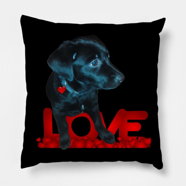 My Black Dog Pillow by All on Black by Miron