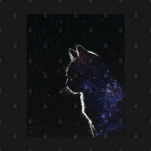 Star Covered Cat by DreamCollage