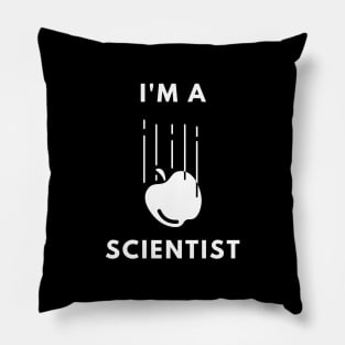 I am a Scientist - Physics Pillow