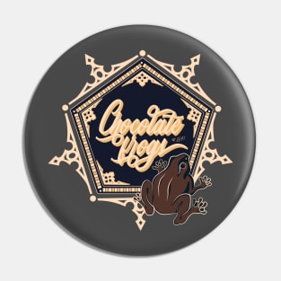 Chocolate Frogs Box Pin