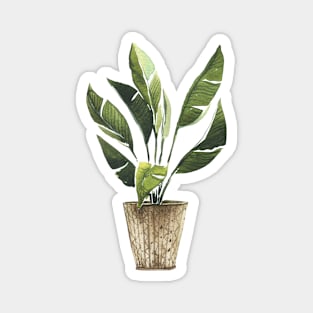 Watercolor Potted Plants Magnet