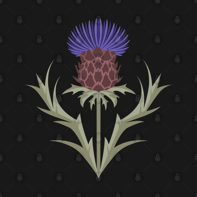 Plume thistle by Avisnanna