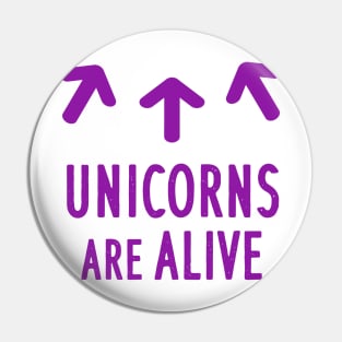 Unicorn Girls Women Girls Einhron Ehorn Pin