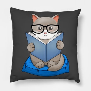 read cat Pillow
