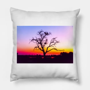 African Tree At Sunset Pillow