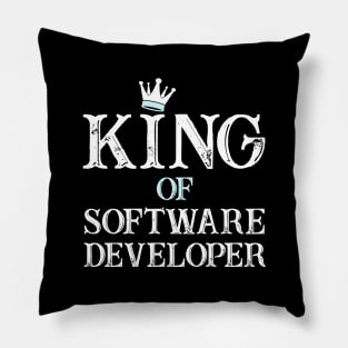 programming software Developer Pillow