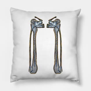 Leg Bones Two Pillow