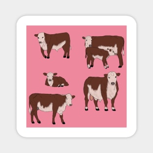 Hereford Cattle Pattern Pink Magnet