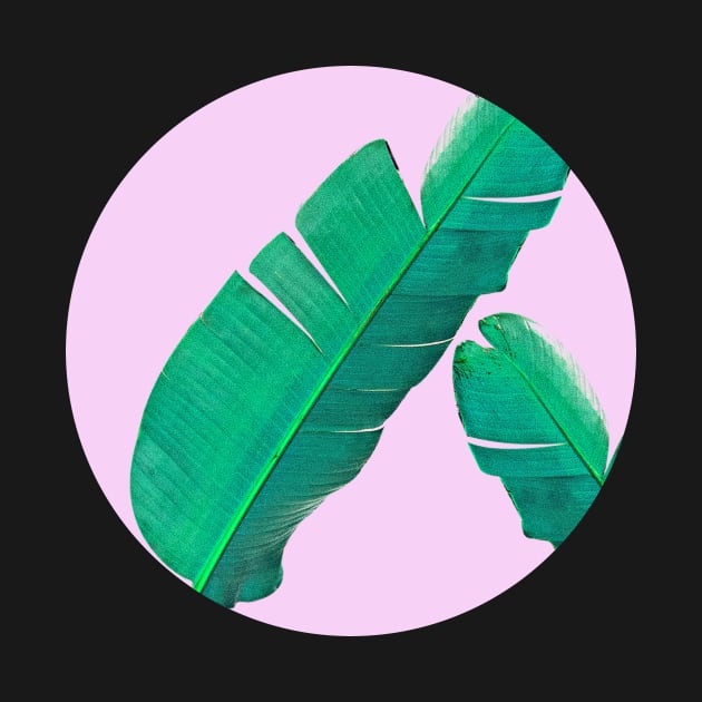 Banana Palm Leaves by Vin Zzep