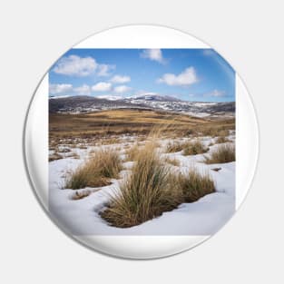 Snowed In Grasses Pin