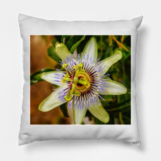 lbs passion fruit Pillow