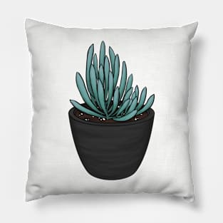 Blue Chalk Sticks Senecio Mandraliscae Succulent Sketch Pillow