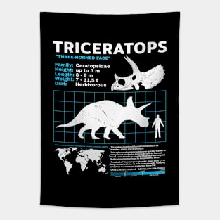 Triceratops Fact Sheet Tapestry