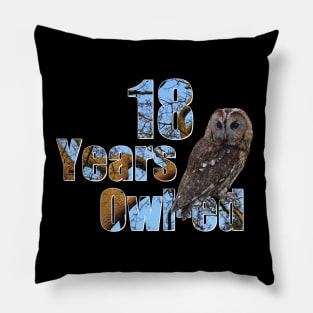 18 years owl-ed (18 years old) 18th birthday Pillow