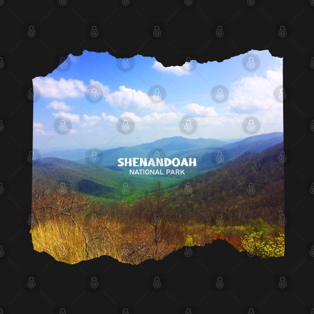 Lovely picture from Shenandoah National Park in Virginia photography by BoogieCreates