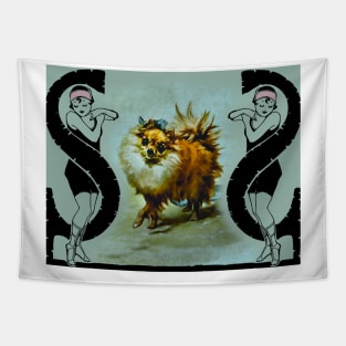 Pomeranian dog Tapestry