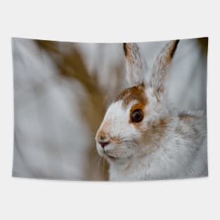 Snow Shoe Hare Tapestry