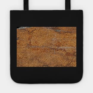 Shale stone Tote