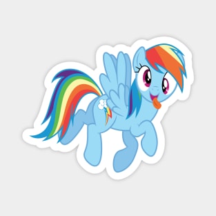 Goofy faced Rainbow Dash Magnet