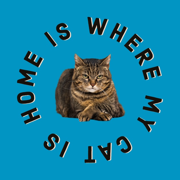 Home Is Where My Cat Is (Manx) by terrybain