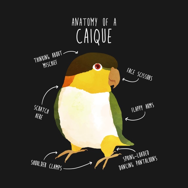 Anatomy of a Black-Headed Caique by Psitta