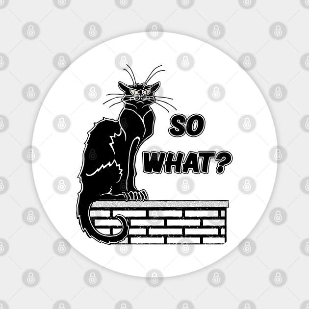 So What? - Angry Cat Cartoon - Angry Cat Cartoon - Magnet | TeePublic So What? - Angry Cat Cartoon - Angry Cat Cartoon - Magnet | TeePublic